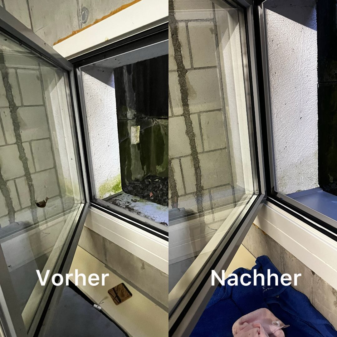 Galeriebild 10