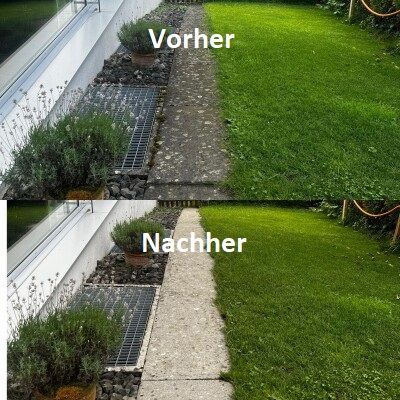 Galeriebild 9