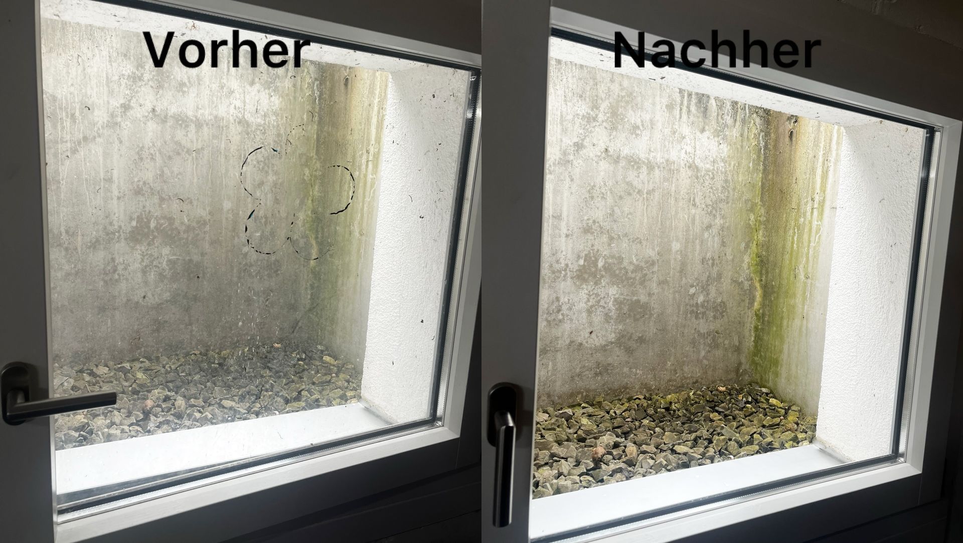 Galeriebild 1
