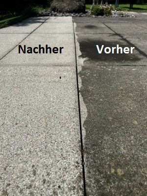 Galeriebild 18