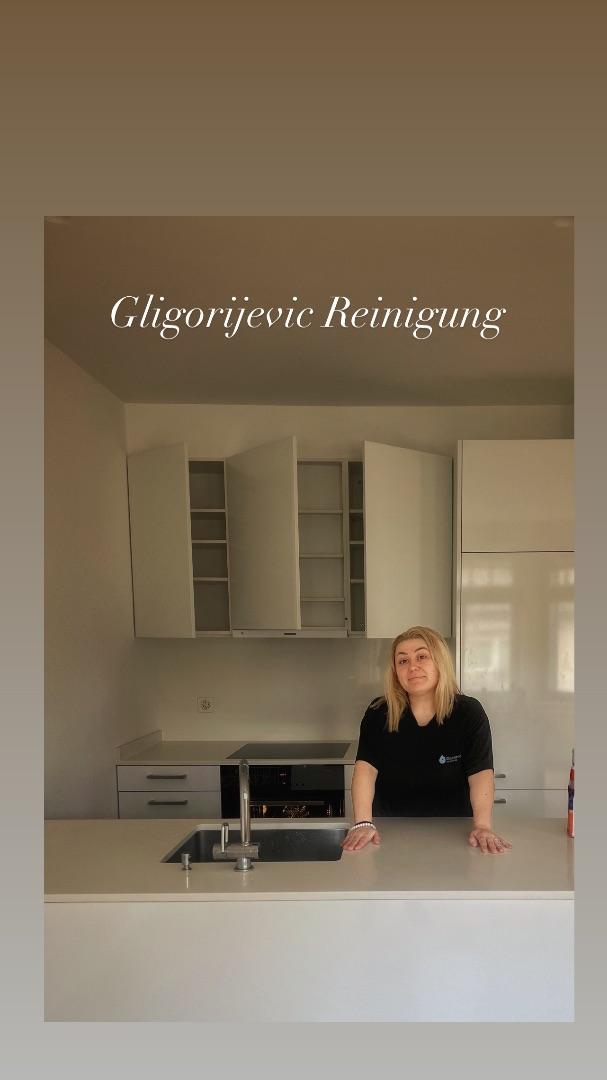 Gligorijevic Reinigung Hero