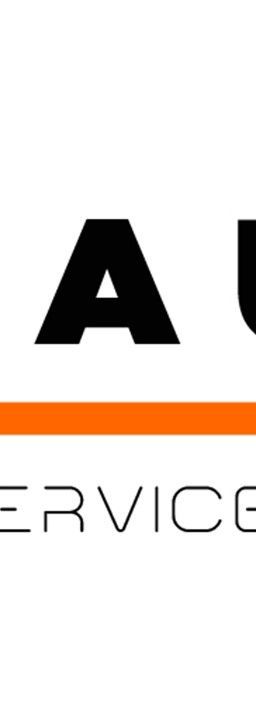 BRAUN Services GmbH Logo